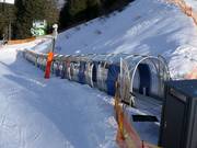 Horberg Shuttle 2 - People mover/Moving Carpet with cover