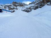 Groomed slope in Obereggen