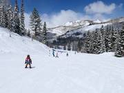 Easy slope at the Link chairlift