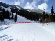 Show Off downhill run