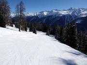 Easy slope at the Fleschenlift