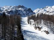 Slope Zadnji Vogel No. 10