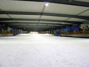 View from the mountain station onto the main slope