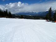 Wide, easy, and just for beginners