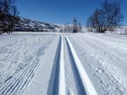 Cross-country trails in Geilo