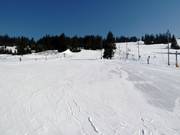 Practice slope in the valley area