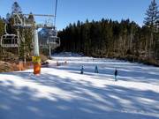 Easy slopes dominate in Lavarone