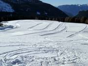 Cross-country trails at Rolle Pass