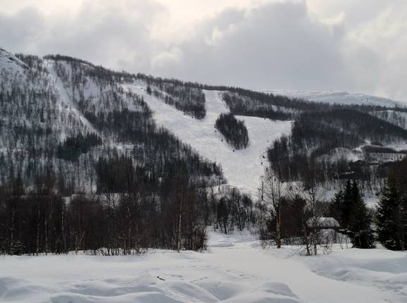 View of the slopes at the T-bar lift