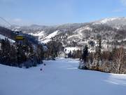 Intermediate slope Malinowa