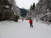 Valley run to Andalo