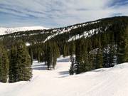 The slopes in Blue Sky Basin