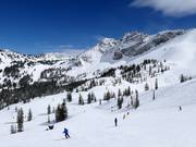 Slope at the Sugarloaf chairlift