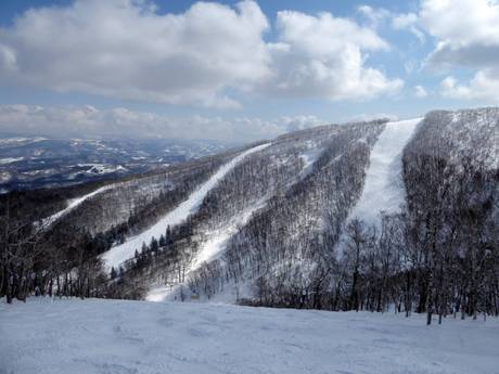 Ski resorts for advanced skiers and freeriding Japan – Advanced skiers, freeriders Rusutsu
