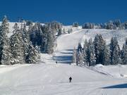 Downhill Torlauf course