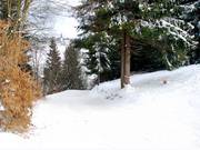 Bypass Steilhang (slope 9a)