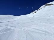 Petersgrat downhill run