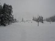 Slopes at Armstrong Express