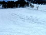 Ideal beginner terrain at the Col drag lift