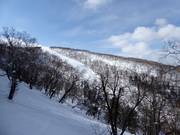 View towards Heavenly Canyon