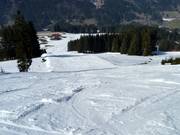 Märchenwiese - longest slope in the ski resort