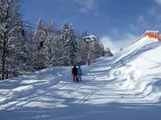 Brandtal-Schlepplift - T-bar