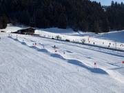 Wave run in Westendorf