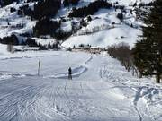 Zachhof Babylift - T-bar