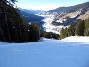 Difficult slope Raut-Vierschach