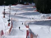 Tip for children  - Funcross Bergeralm