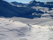 Plenty of space for freeriders