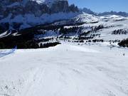 Difficult slope Paprika