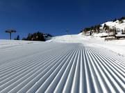 Very good slope grooming