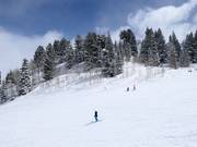 Beautiful slopes in Snowbasin