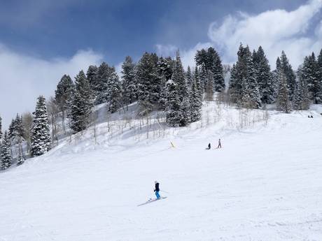 Slope offering Wasatch Mountains – Slope offering Snowbasin
