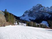 Practice slope Campo Scuola Baby at Piani di Pezzè