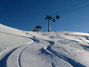 Powder snow at the Hohe Mut