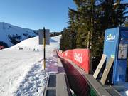 Märchenwald - People mover/Moving Carpet