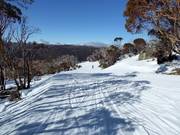 Village Trail in the middle section