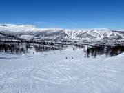 Easy slope Kikut No. 68