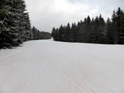 Gentle connecting slope between Stübenwasenlift and Kapellenlift