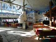 Arena Bar in the World Cup Arena Zauchensee