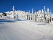 Start of the Cahilty piste