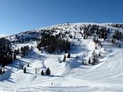 Freeride/powder snow areas on Monte Agaro