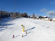 Ideal for families and beginners