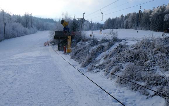 Family ski resorts Cham – Families and children Hohenbogen – Neukirchen bei Hl. Blut
