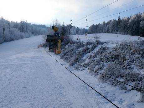 Family ski resorts Upper Palatinate (Oberpfalz) – Families and children Hohenbogen – Neukirchen bei Hl. Blut