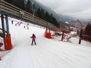 The easy slope meets the intermediate slope