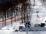 Zapovedniy les - 8pers. Gondola lift (monocable circulating ropeway)