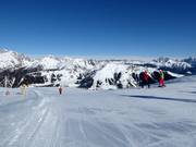 Easy slope no. 6 Paradiso